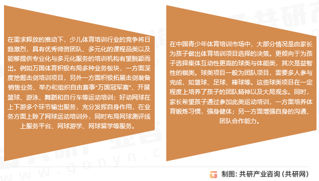 王中王资料大全，深度解析与词语释义落实