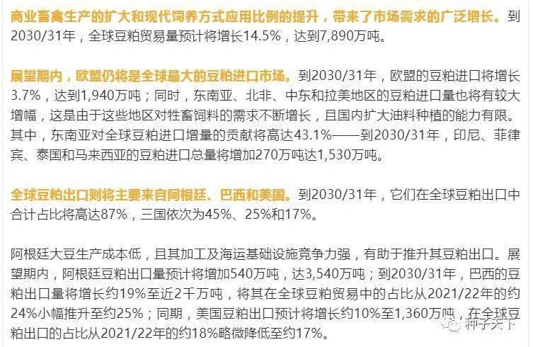 探究新奥未来展望与资料更新，深化理解并落实行动的策略