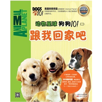 探索精准狗狗的世界，对数字组合777778与8888的精选解析与解释