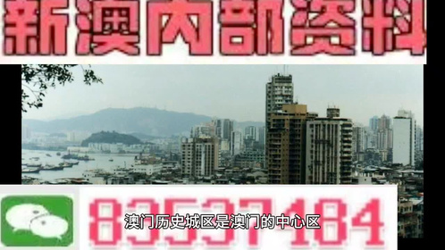 新澳门全年免费料精准，解读与落实的关键要素