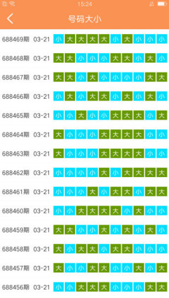 新澳门天天开好彩大全53期，全面释义、解释与落实