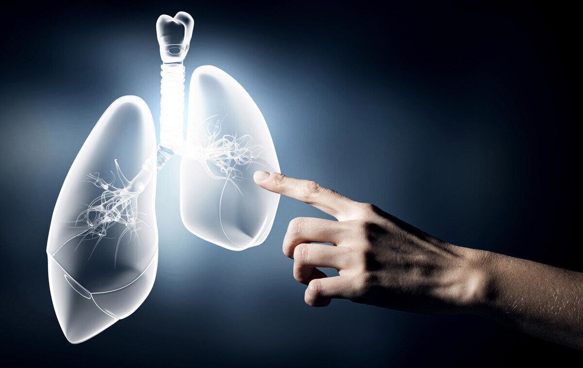 迈向精准未来，2025年精准资料大全与确诊释义的落实之路