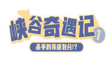 探索未来娱乐新领域，澳门王中王游戏与本领释义的落实之旅