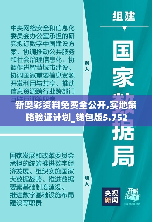 新奥彩资料免费长期公开，人才释义解释落实的重要性