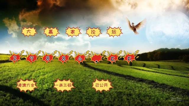 最准一肖一码一一子中特7955，创造释义解释落实