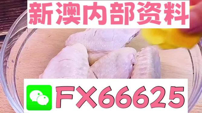 新澳门一码中精准一码免费中特，释义解释与坚决落实的重要性