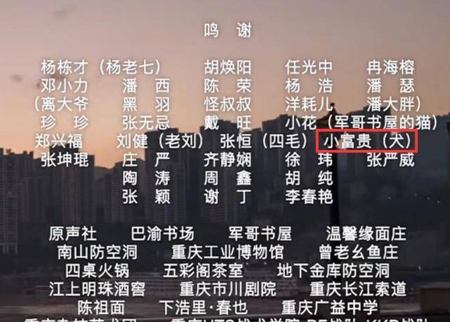 澳门三肖三码精准预测，解读与落实的重要性