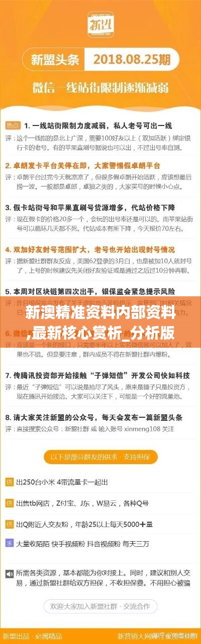 探索未来，解析新澳精准极限二肖集成释义与落实策略