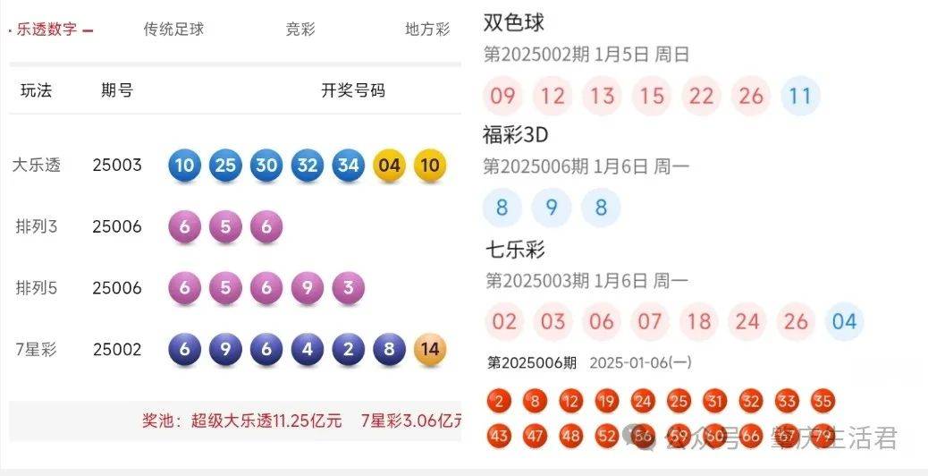 澳门彩票开奖结果，合成释义与落实的重要性