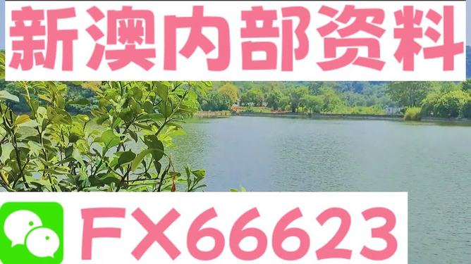 关于新澳免费资料大全精准版与百战释义解释落实的文章