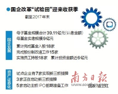 新澳精准资料免费提供353期，透亮释义与落实行动的探索之旅