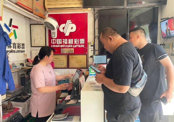 探索未来彩票奥秘，解读2025年管家婆一奖一特一中及其判定释义与落实策略