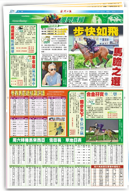 马会传真与澳门免费资料，背后的释义、解释与落实