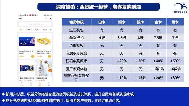 澳门一码一肖一特一中全年，解读与凝重的意义