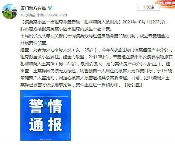 澳门一肖一特与精准免费的条款释义解释落实，揭示背后的真相与风险警示