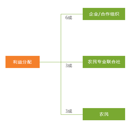 关于精准免费四肖预测与机制落实的深度解析