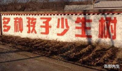 新址二四六天天彩资料246，前行的力量与落实的重要性