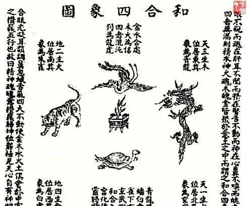 澳门白虎玄机精准玄武，韧性释义解释落实的重要性