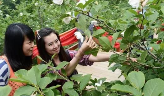 迈向未来，新奥资料的免费公开与商共释义的落实