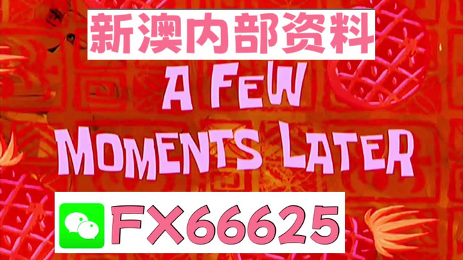 新澳内部一码精准公开与调配释义解释落实的探讨