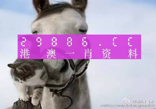 今晚一肖一码澳门一肖四不像——揭秘与解读