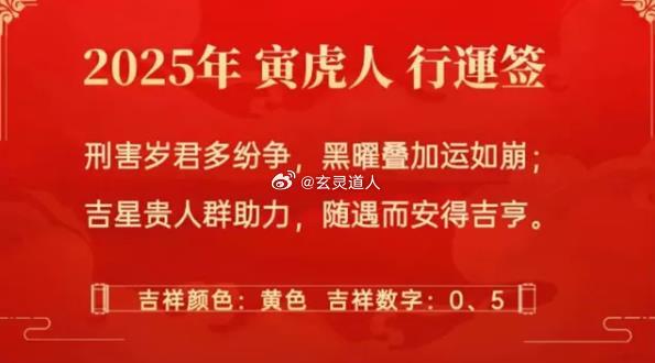 新澳2025一肖一码道玄真人，释义解释与落实策略