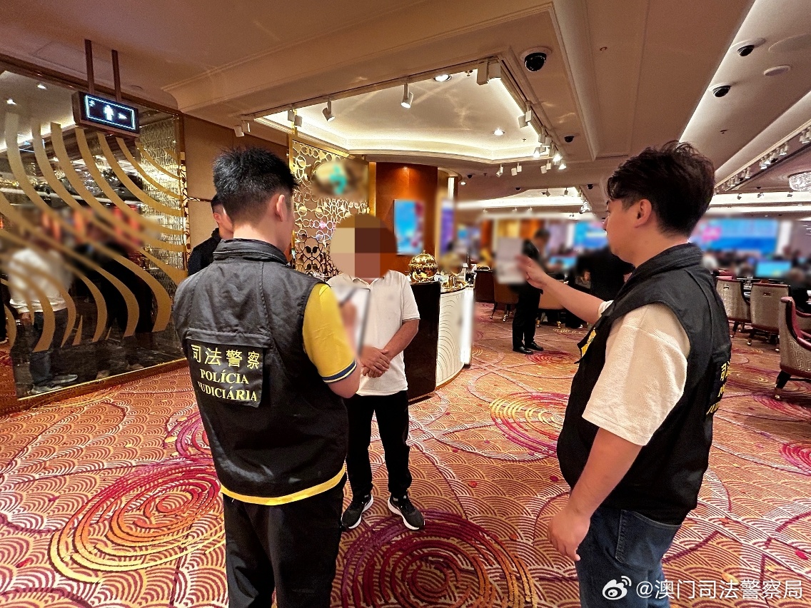 探索未来，聚焦澳门特马直播与媒体释义解释落实