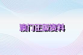 澳门正版资料免费最新版本测评，深度解读与实际应用体验
