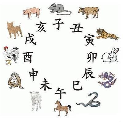 探索四不像生肖图与人性释义的奥秘——以今晚2025年为例