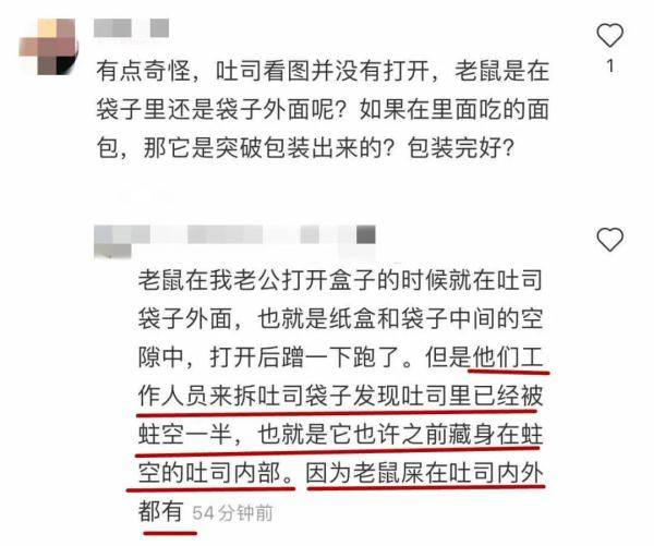 澳门特马今晚开奖号码与鼠窜释义的探讨