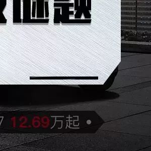 揭秘最准一肖一码，真相背后的故事与追求真实效果的探索