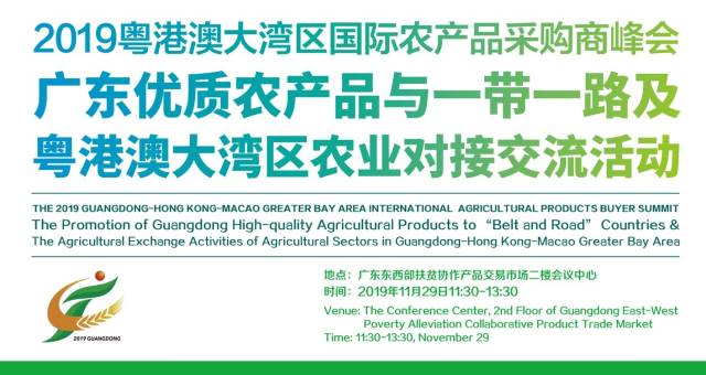 澳门未来展望，2025年天天开好彩的愿景与容忍之道的实践