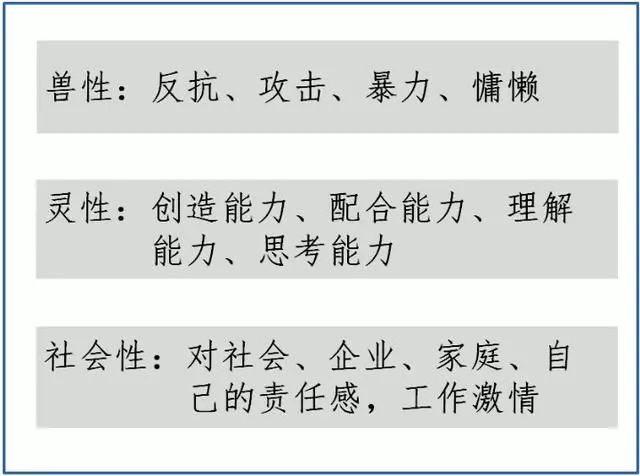 今晚澳门特马开什么今晚四不像，深度解析与释义落实