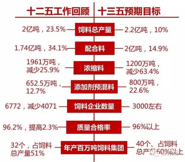 探索未来彩票世界，澳门天天彩期期精准的时代释义与落实策略