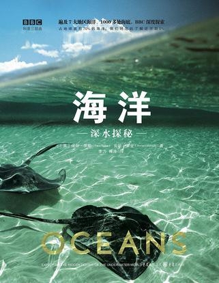 探索正版资料的海洋，关于4949资料正版免费大全的无私奉献与落实实践
