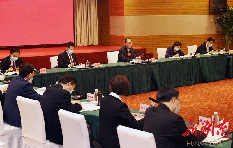 新澳门精准四肖期期准，释义解释与落实策略探讨