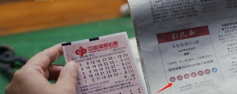 最准一肖一码，揭秘生肖彩票中的特殊现象与解读落实观点