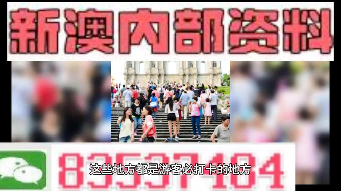 新澳精准资料免费提供网站，透亮释义与落实行动
