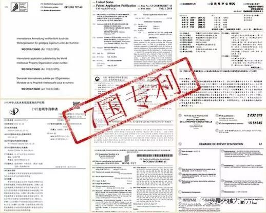 新澳内部资料免费精准37b，特长释义解释落实的重要性与策略