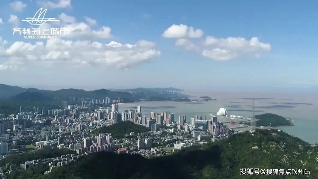 新澳天天开奖资料大全第1052期，细微释义与深入解读