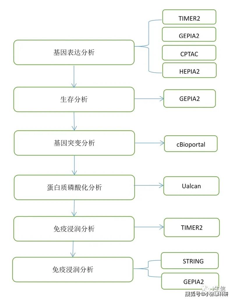新澳2025最新资料大全与决策资料解释定义——AR94.463关键词解读