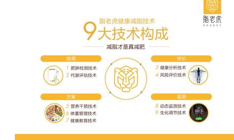 揭示精准管家婆背后的真相与警示，专家版深度剖析