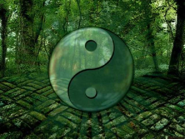 一码一肖，揭秘精准预测的秘密——100%精准之道