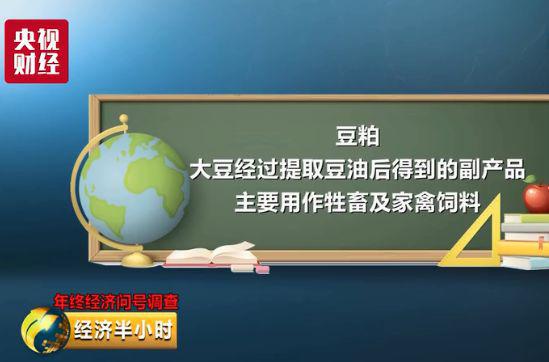 揭秘新澳免费资料内部玄机与新奥长期免费资料大全，探索背后的秘密与策略