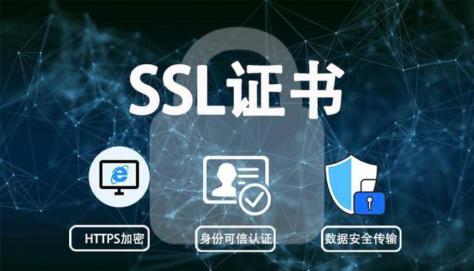 新澳2025天天正版资料大全与实时解答解释落实的重要性