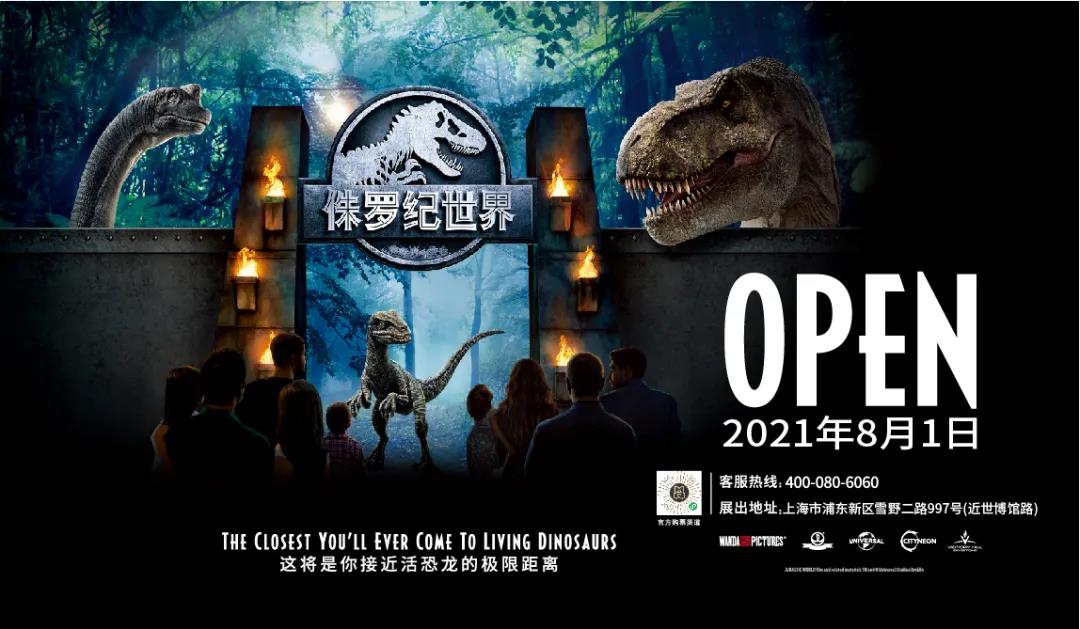 探索澳彩世界，2025澳彩免费资料大全与统计解答的落实之旅