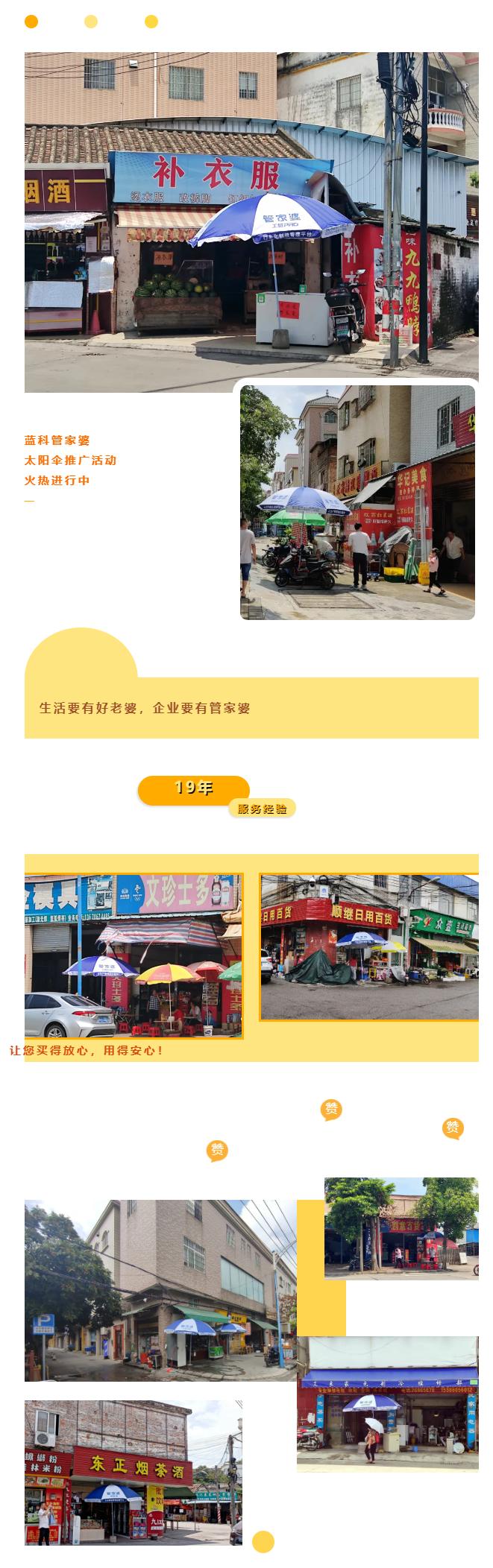 探索管家婆一票一码，高效精准的财务管理软件