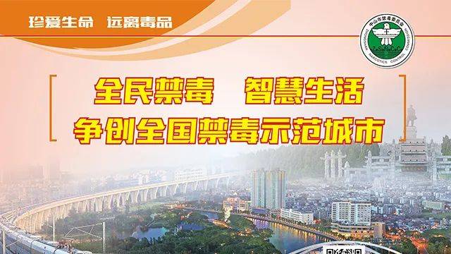 深度解读，关于澳门新未来——天天开好彩的展望与解析