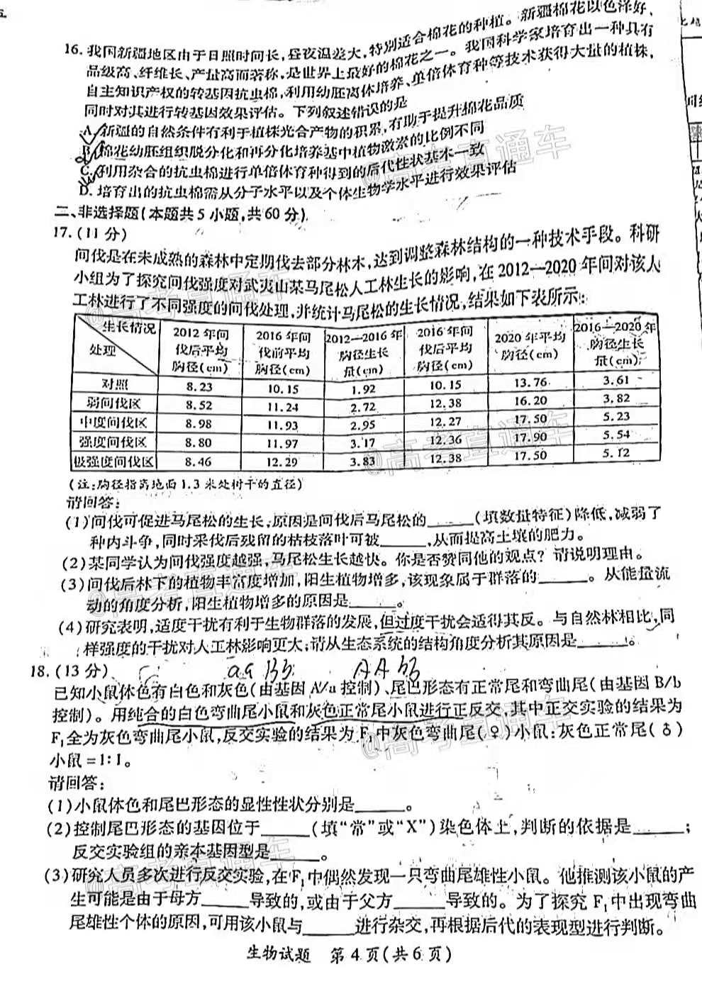 澳门今晚三中三必中一，全面解答解释与落实