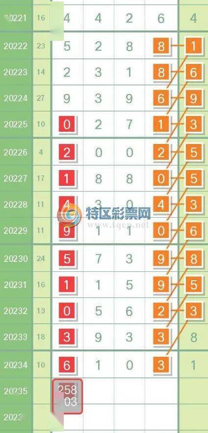 探索精准资料，王中王期期中澳门高手的奥秘与精准解答解释落实